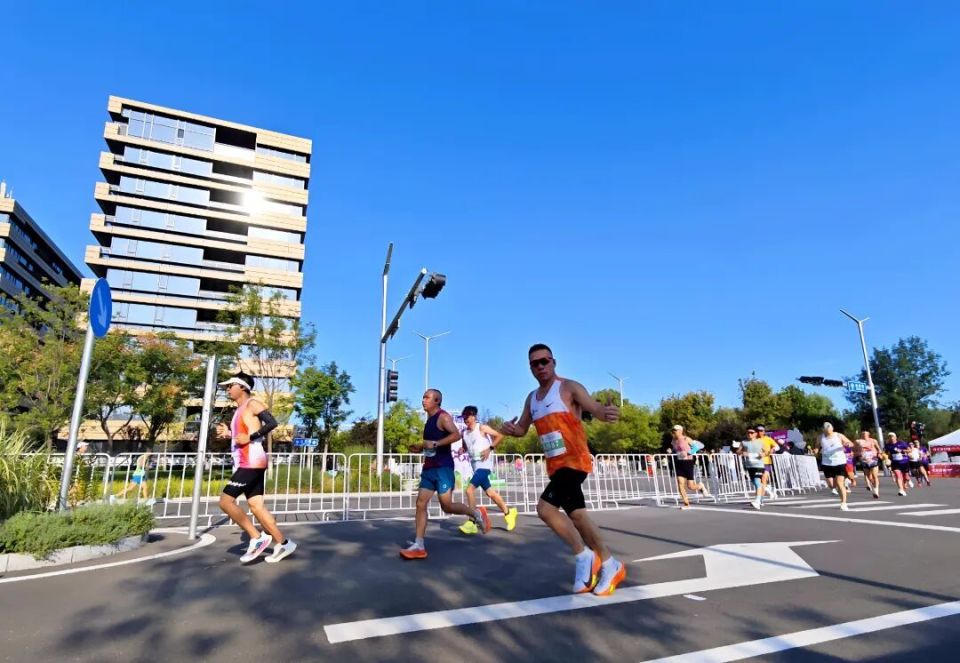 Au, 新脉搏, AhxVF