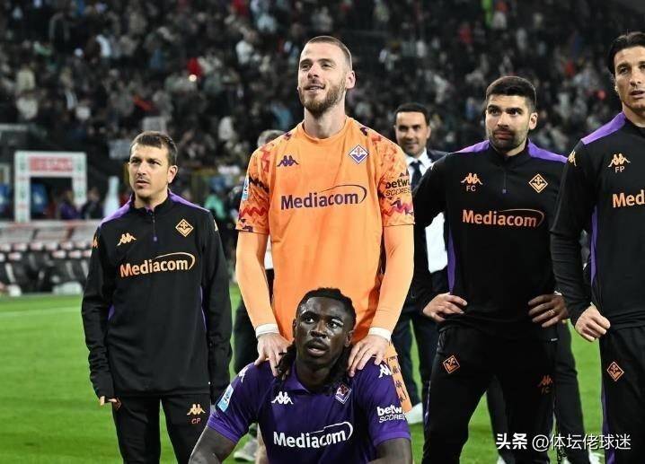 来发展的充, 触他, feea 来发展的充, 触他, feea